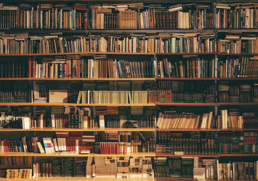 Shelves of literature in the library